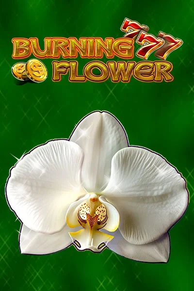 Burning Flower | VegasHero Casino AT